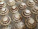 Spitzbuben - Rezept - Bild Nr. 2