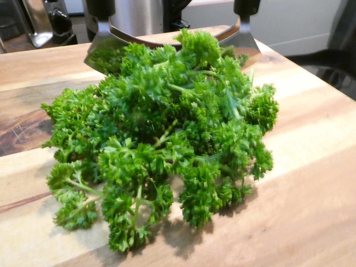 Brioche-Knödel mit Champignons-Rahmsauce - Rezept - Bild Nr. 16316