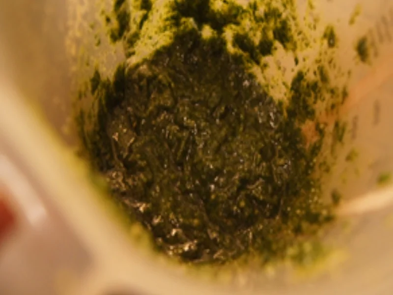 Spaghetti mit Pesto aus Bundmöhrenkraut - Rezept - Bild Nr. 5