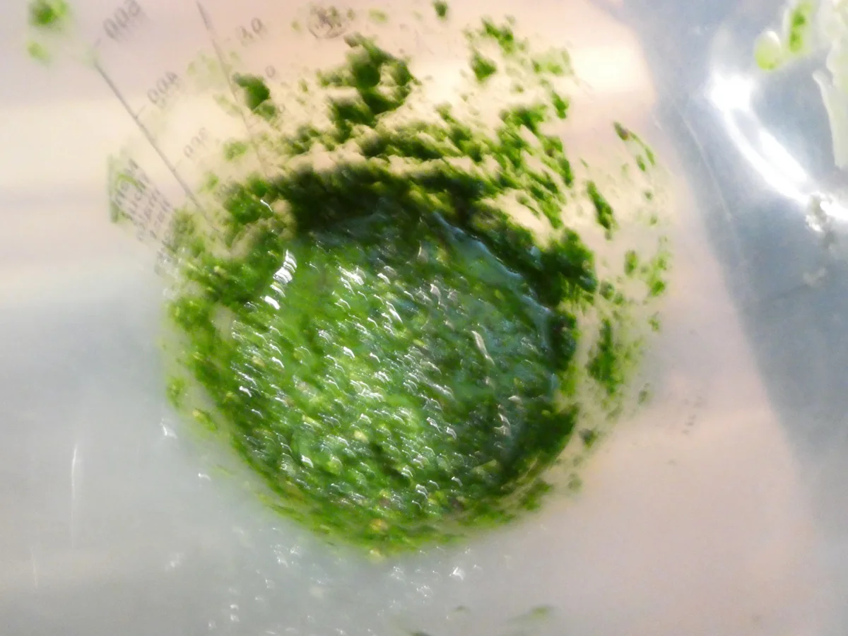 Rote Linsen-Möhrensuppe mit Petersilien-Pesto - Rezept - Bild Nr. 16344