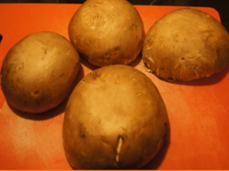 Rezept: Porto Bello mit Rührei Bild Nr. 16332 Porto Bello mit Rührei - Rezept - Bild Nr. 16332