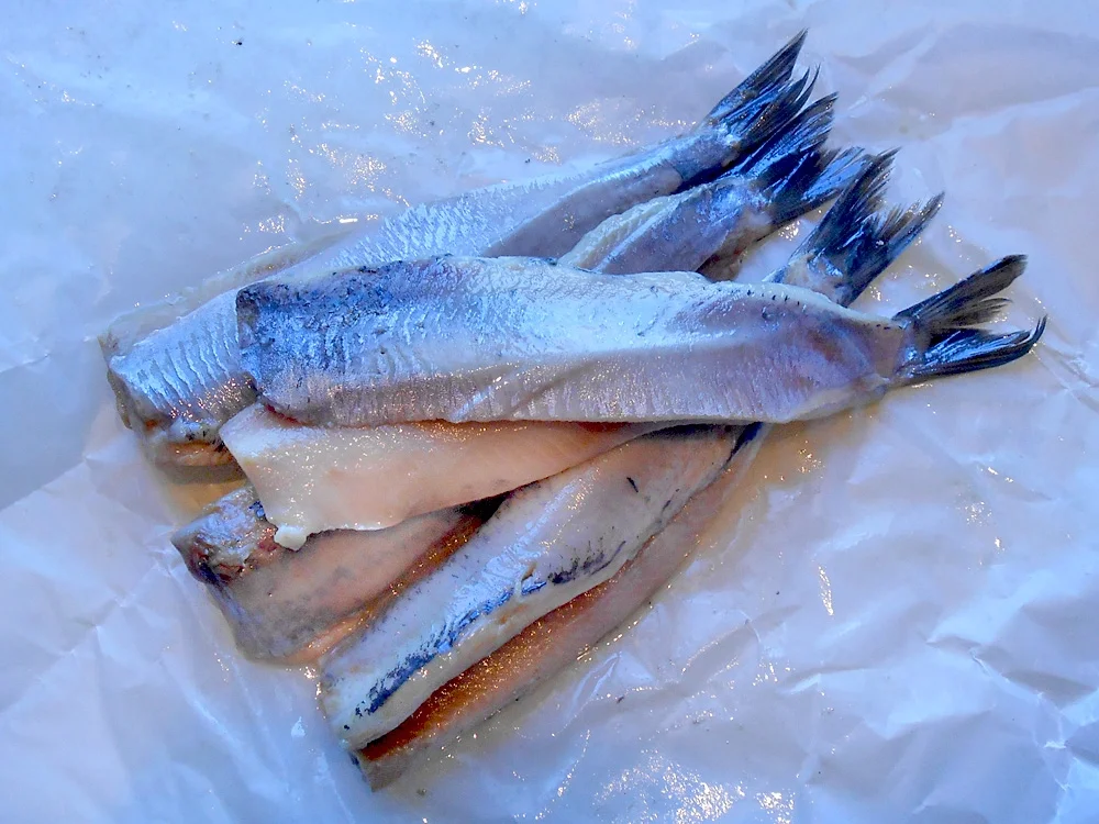 Marininierte Heringe -Gärtnerin- - Rezept - Bild Nr. 16333