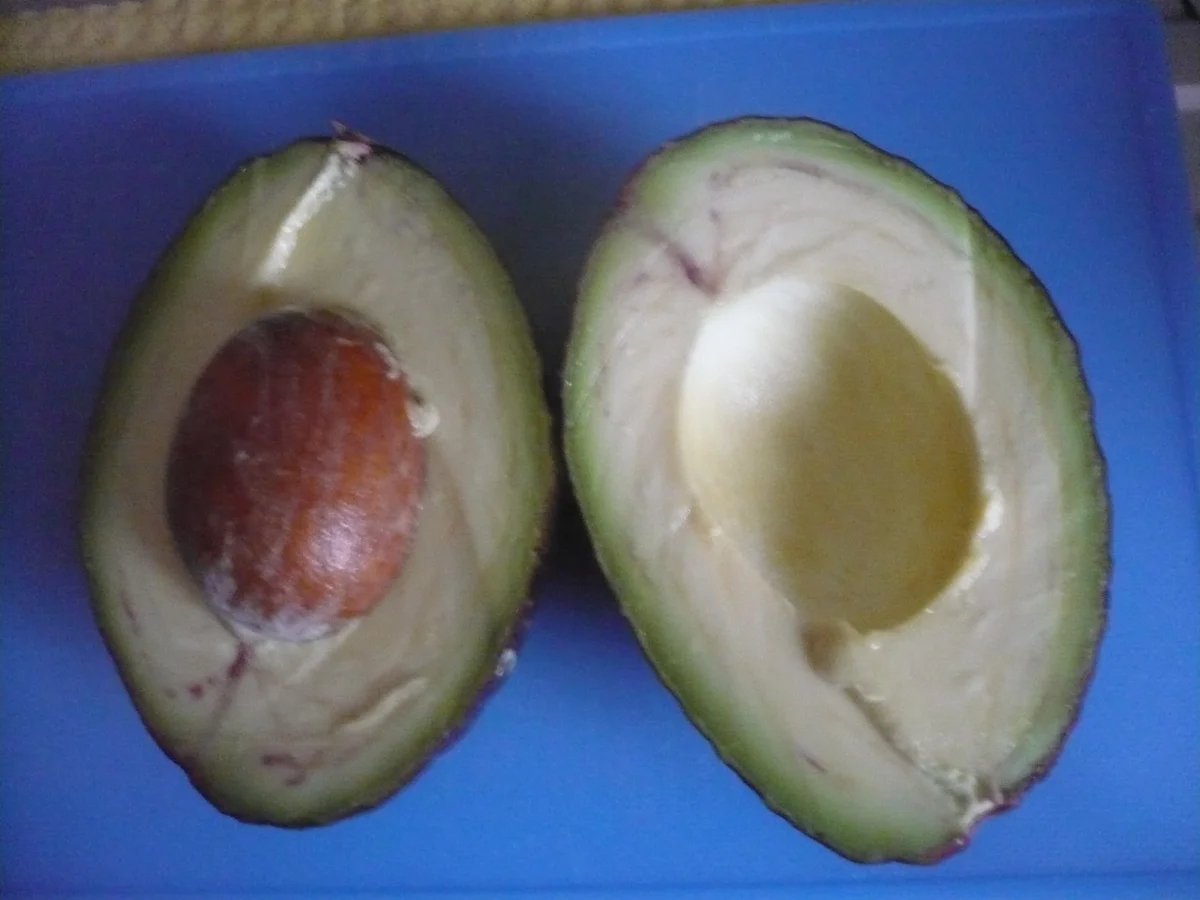 Rezept: Mango - Avocado - Salat mit Forellenfilet Bild Nr. 3 Mango - Avocado - Salat mit Forellenfilet - Rezept - Bild Nr. 3