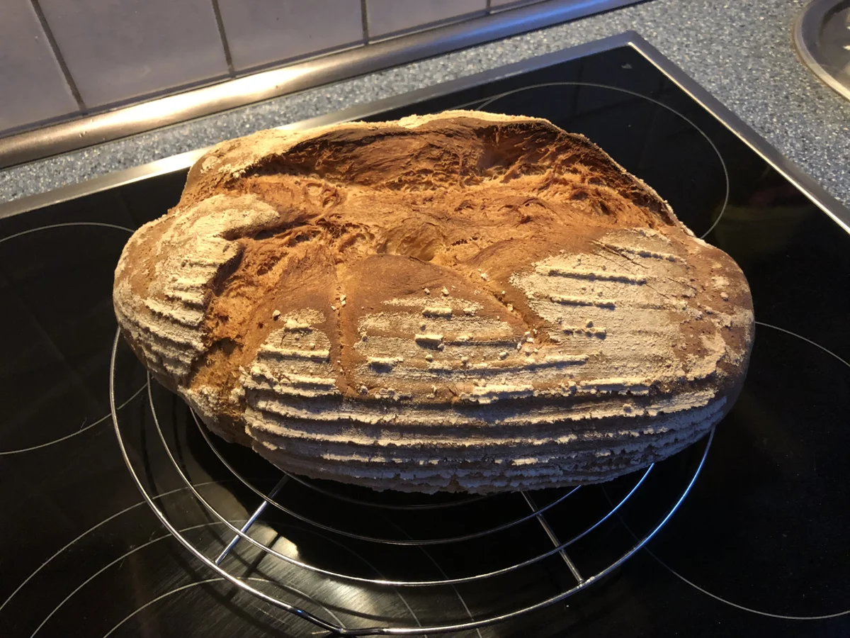 Bine`s Landbrot - Rezept - Bild Nr. 16346