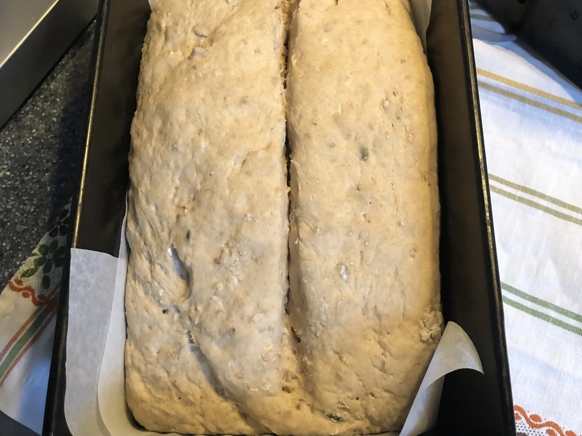 Bine`s Körnerbrot - Rezept - Bild Nr. 16351