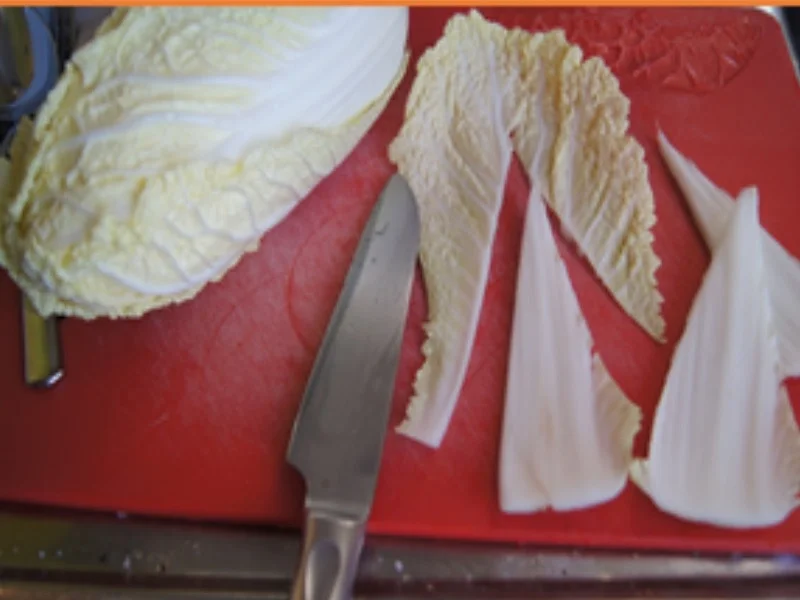 Bratfisch mit Bechamelkartoffeln und Chinakohlsalat - Rezept - Bild Nr. 16355