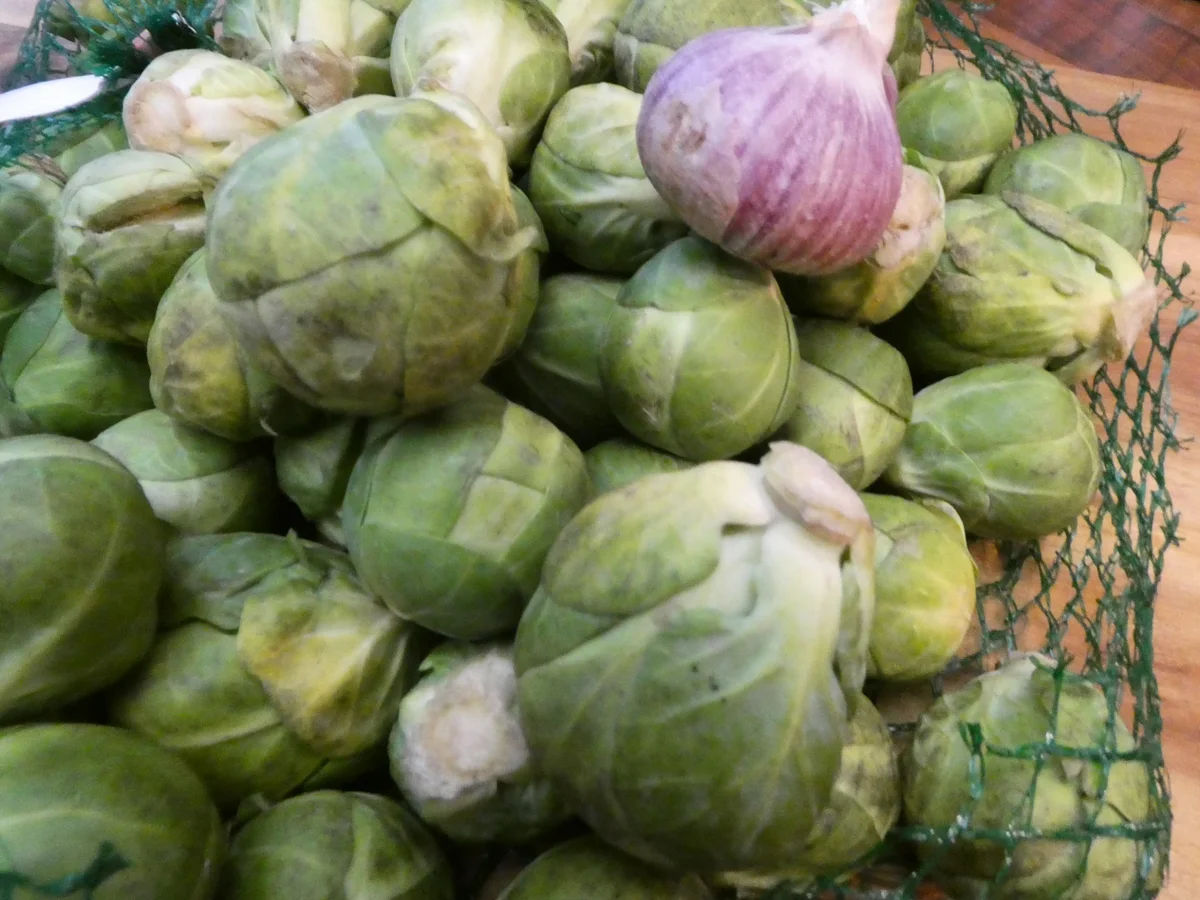 Rezept: Spaghetti mit Rosenkohl-Pesto Bild Nr. 16346 Spaghetti mit Rosenkohl-Pesto - Rezept - Bild Nr. 16346