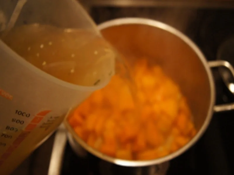 Rezept: Kürbis-Süßkartoffel-Suppe mit Mettbällchen-Spieß Bild Nr. 16355 Kürbis-Süßkartoffel-Suppe mit Mettbällchen-Spieß - Rezept - Bild Nr. 16355