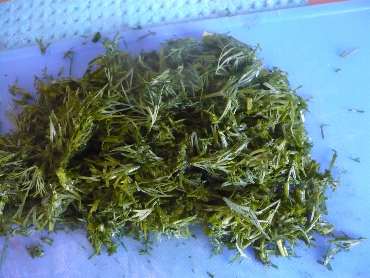 Rezept: Forellenmousse auf Salat Bild Nr. 16351 Forellenmousse auf Salat - Rezept - Bild Nr. 16351