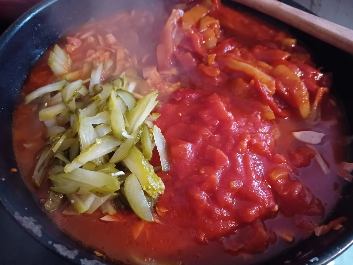 Soljanka - Rezept - Bild Nr. 16356