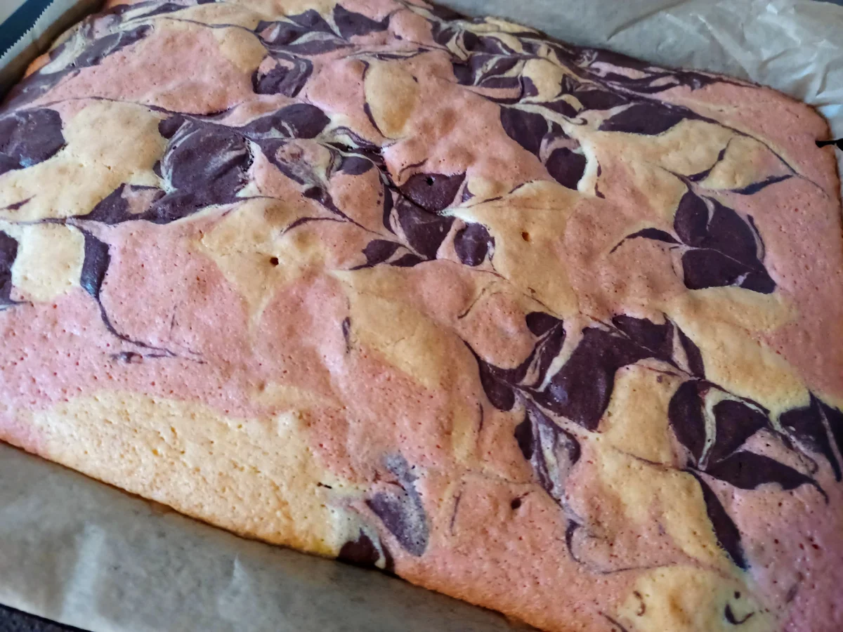 Papageikuchen - Rezept - Bild Nr. 16357