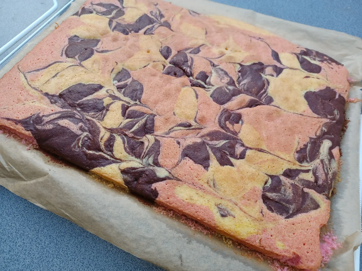 Papageikuchen - Rezept - Bild Nr. 16358