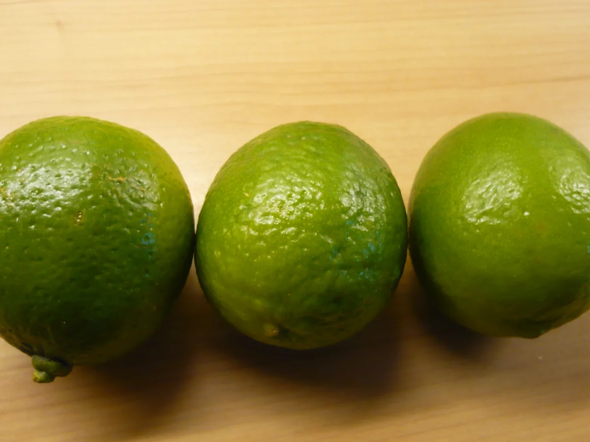 Gewürzter Lachs mit Zitronen- Risotto - Rezept - Bild Nr. 4