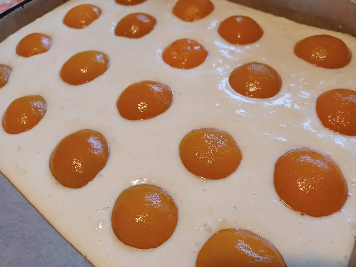 Buttermilch - Kuchen mit Aprikosen - Rezept - Bild Nr. 16392