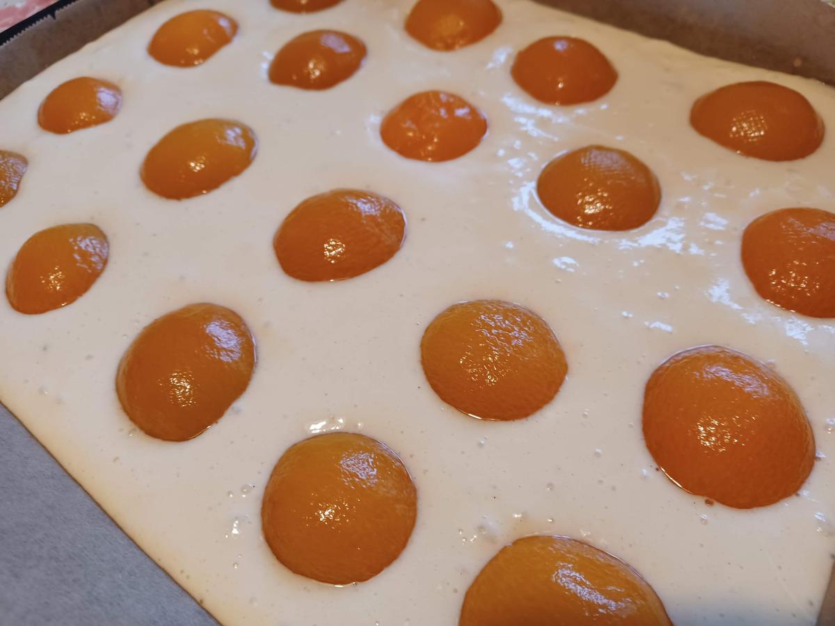 Buttermilch Kuchen mit Aprikosen - einfach - von loewe_bs