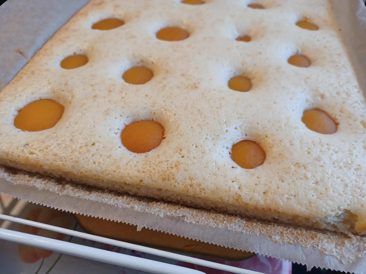 Buttermilch - Kuchen mit Aprikosen - Rezept - Bild Nr. 16393