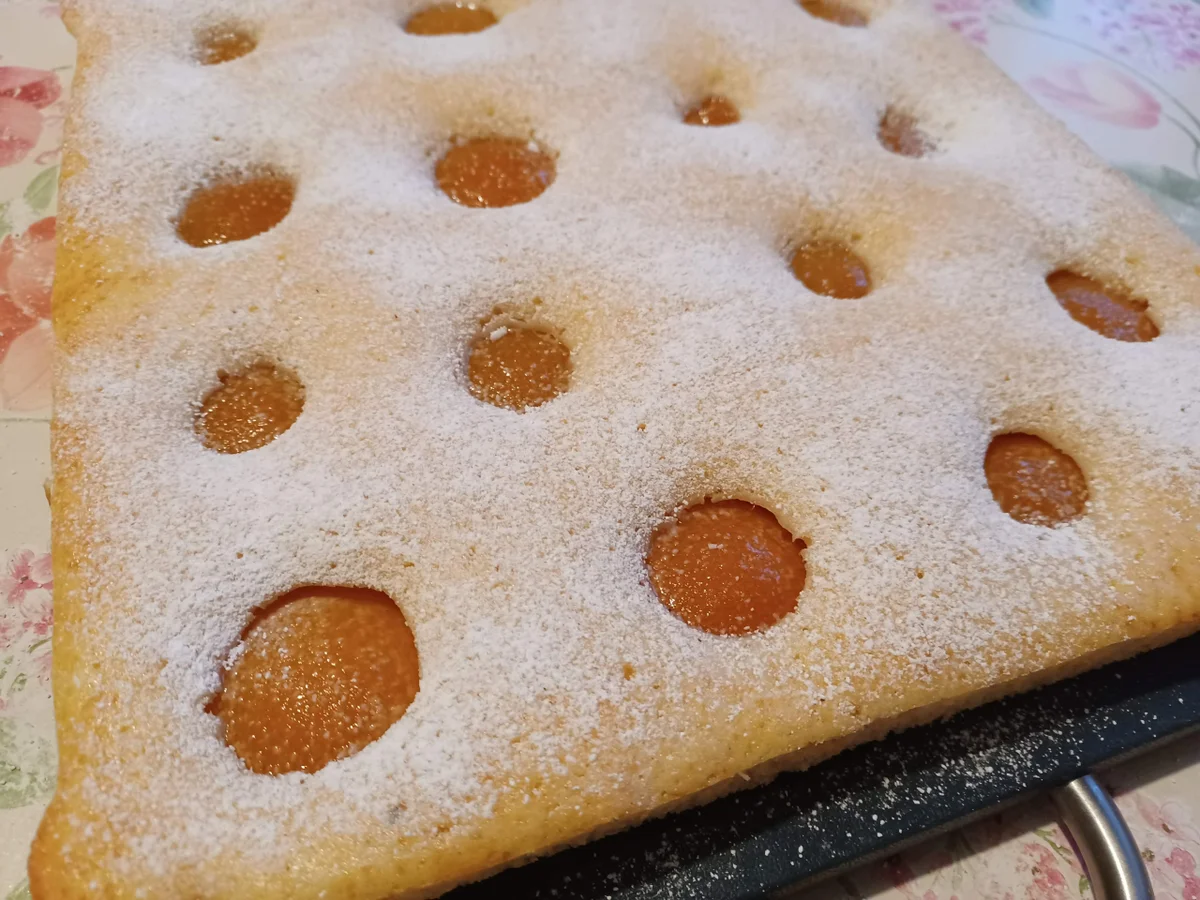 Buttermilch - Kuchen mit Aprikosen - Rezept - Bild Nr. 16394