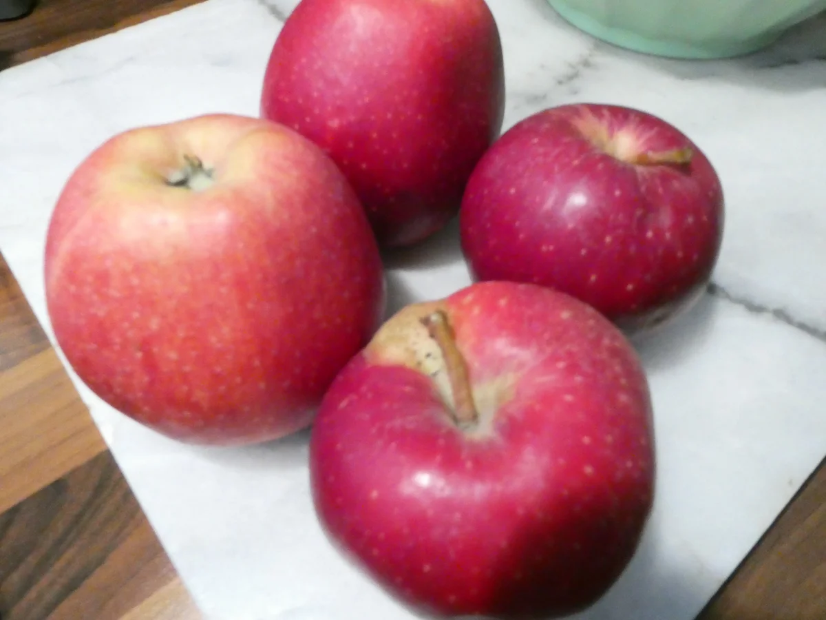 Apfel-Mohn-Käse-Streuselkuchen - Rezept - Bild Nr. 16412