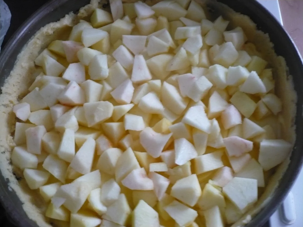 Apfelkuchen mit Pudding - Rezept - Bild Nr. 16407