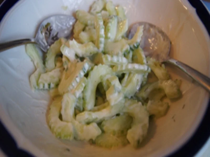 Rezept: Rahm-Pilz-Sauce mit böhmischen Knödeln und Gurkensalat Bild Nr. 16411 Rahm-Pilz-Sauce mit böhmischen Knödeln und Gurkensalat - Rezept - Bild Nr. 16411