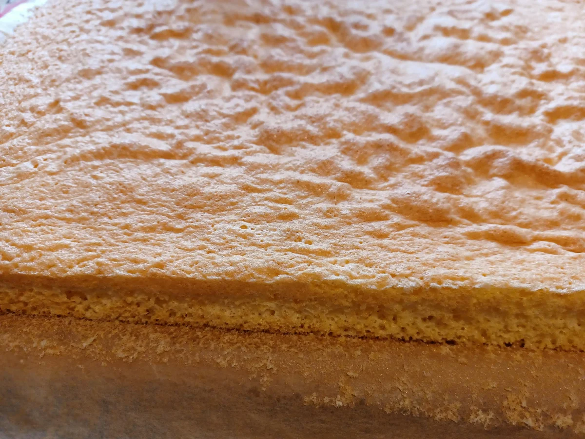 Joghurt - Apfel - Schnitte - Rezept - Bild Nr. 16421