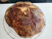 Brot aus Weizensauerteig - Rezept - Bild Nr. 16404