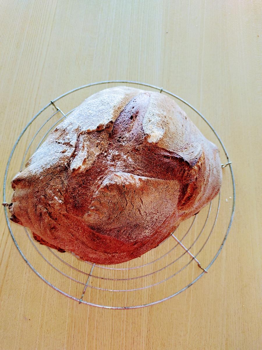 Brot aus Weizensauerteig - Rezept - Bild Nr. 16407