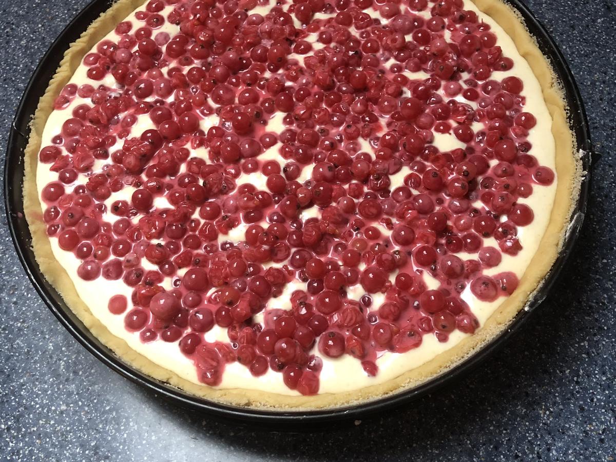 Johannisbeerkuchen Mit Quark, Schmand und Streuseln - Rezept mit Bild ...