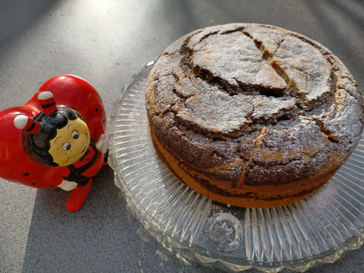 Zebrakuchen mit Kürbiskompott - Rezept - Bild Nr. 16415