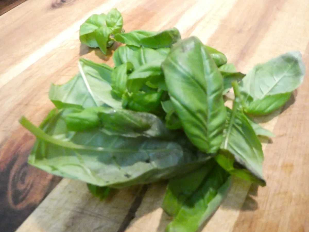 Muschelnudeln mit Spinat-Ricotta-Füllung auf Hackfleisch-Gemüse-Sauce - Rezept - Bild Nr. 16404