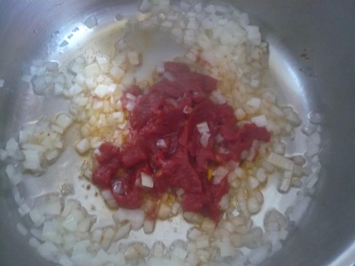 Puszta - Schnitzelpfanne mit Tomatenreis - Rezept - Bild Nr. 16416