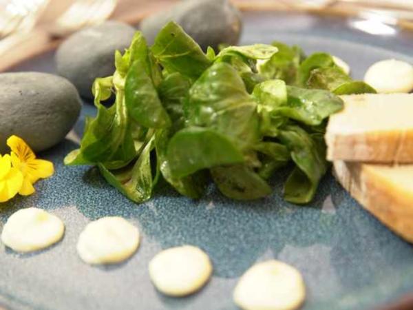 Kartoffeln mit Basilikum-Pesto und Feldsalat - Rezept - kochbar.de