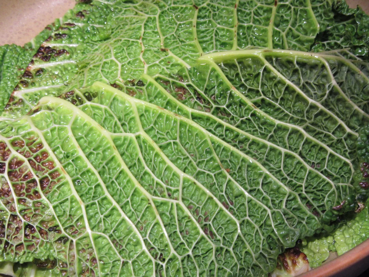 Auflauf: Wirsing gefüllt mit Linsenbolognese - Rezept - Bild Nr. 3