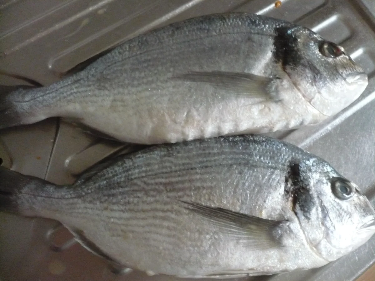 Gefüllte Dorade - Rezept - Bild Nr. 16410