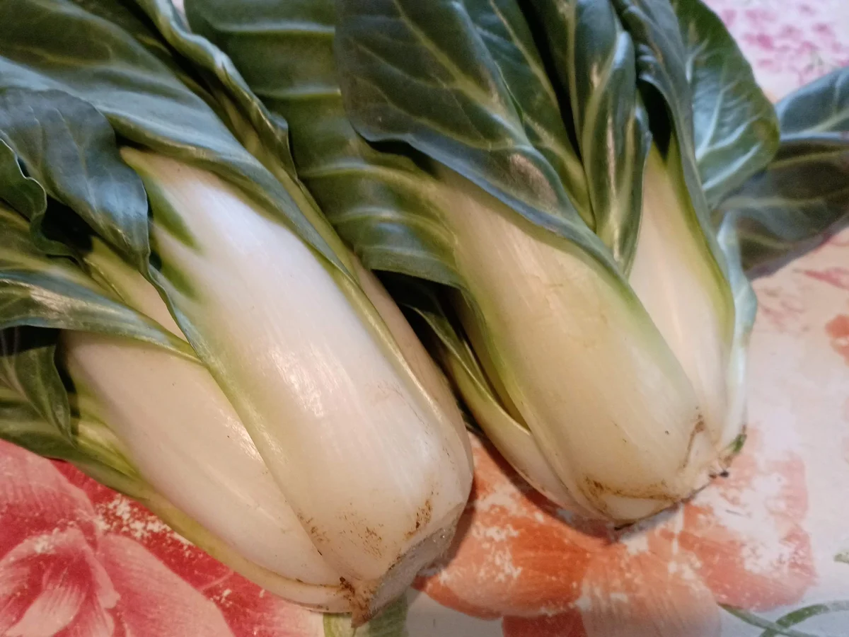 Pak Choi aus der Pfanne - Rezept - Bild Nr. 16411