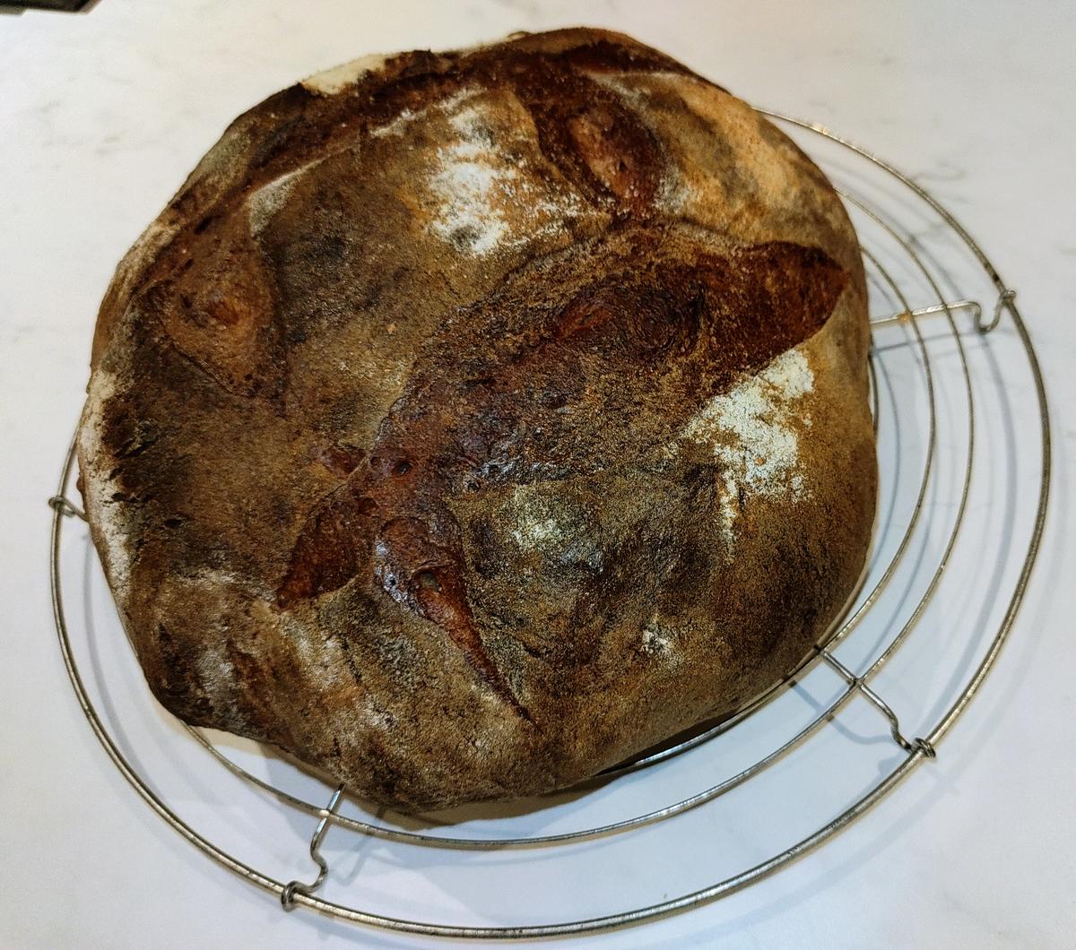 Pane Maggiore aus Sauerteig (III) - Rezept - Bild Nr. 16414