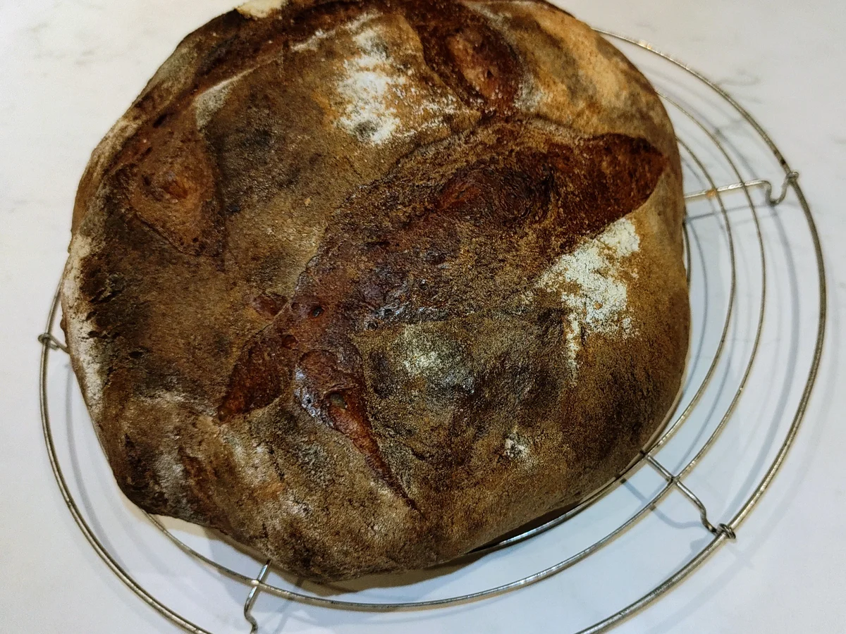 Pane Maggiore aus Sauerteig (III) - Rezept - Bild Nr. 16414