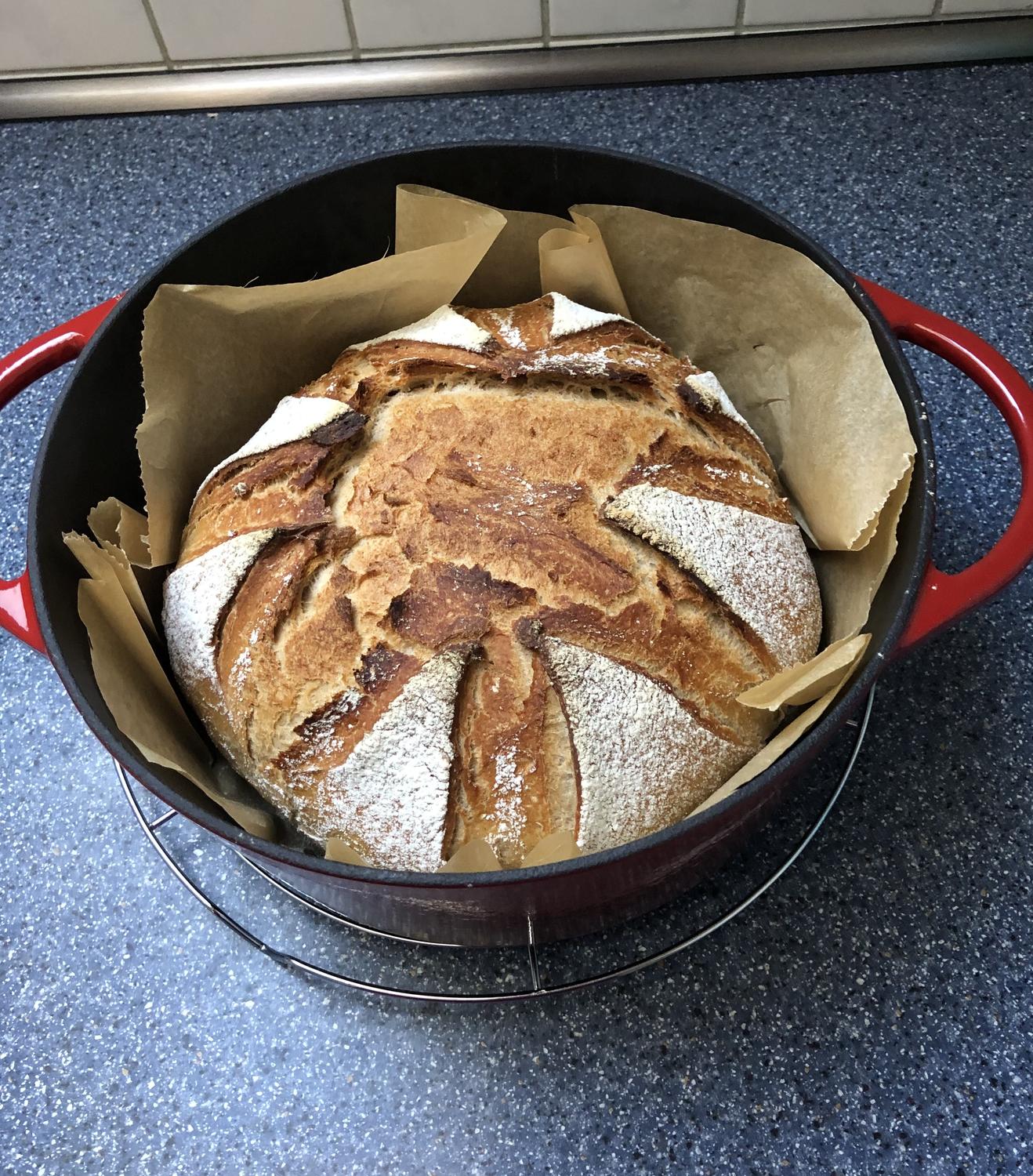 Topfbrot ein Brot das zu allem passt - Rezept mit Bild - kochbar.de