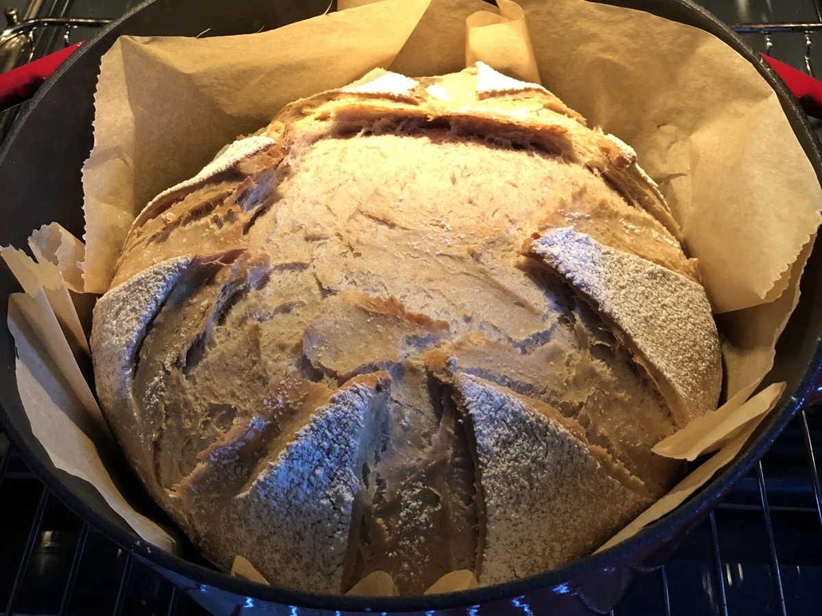 Rezept: Topfbrot Bild Nr. 16419 Topfbrot - Rezept - Bild Nr. 16419