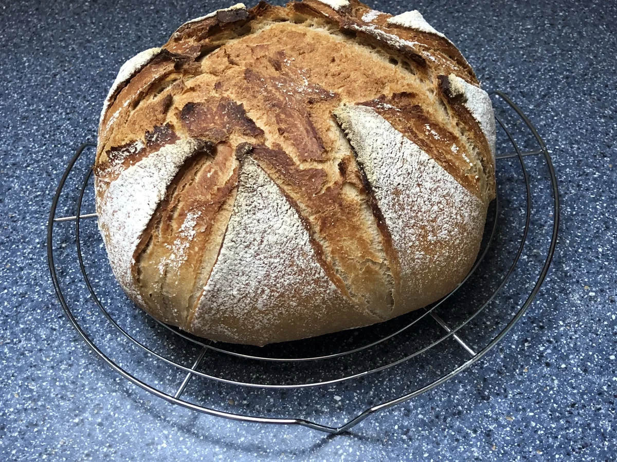 Rezept: Topfbrot Bild Nr. 16421 Topfbrot - Rezept - Bild Nr. 16421