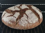 Dinkelmischbrot mit wenig Hefe - Rezept - Bild Nr. 2