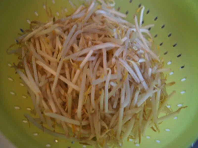 Hähnchenbrustfilet mit Sojabohnensprossen und Basmatireis mit Ei - Rezept - Bild Nr. 16420