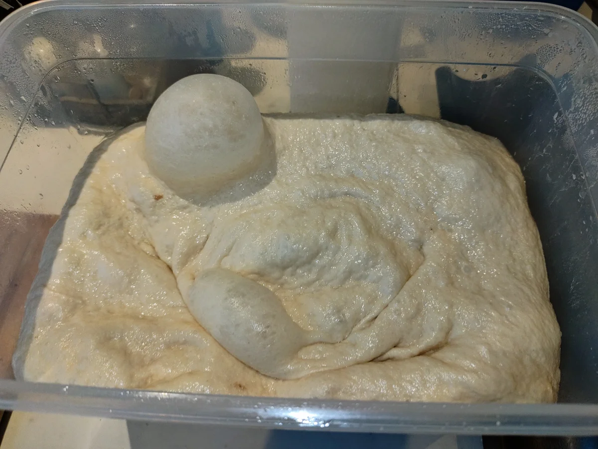 Baguette (III) - Rezept - Bild Nr. 16417