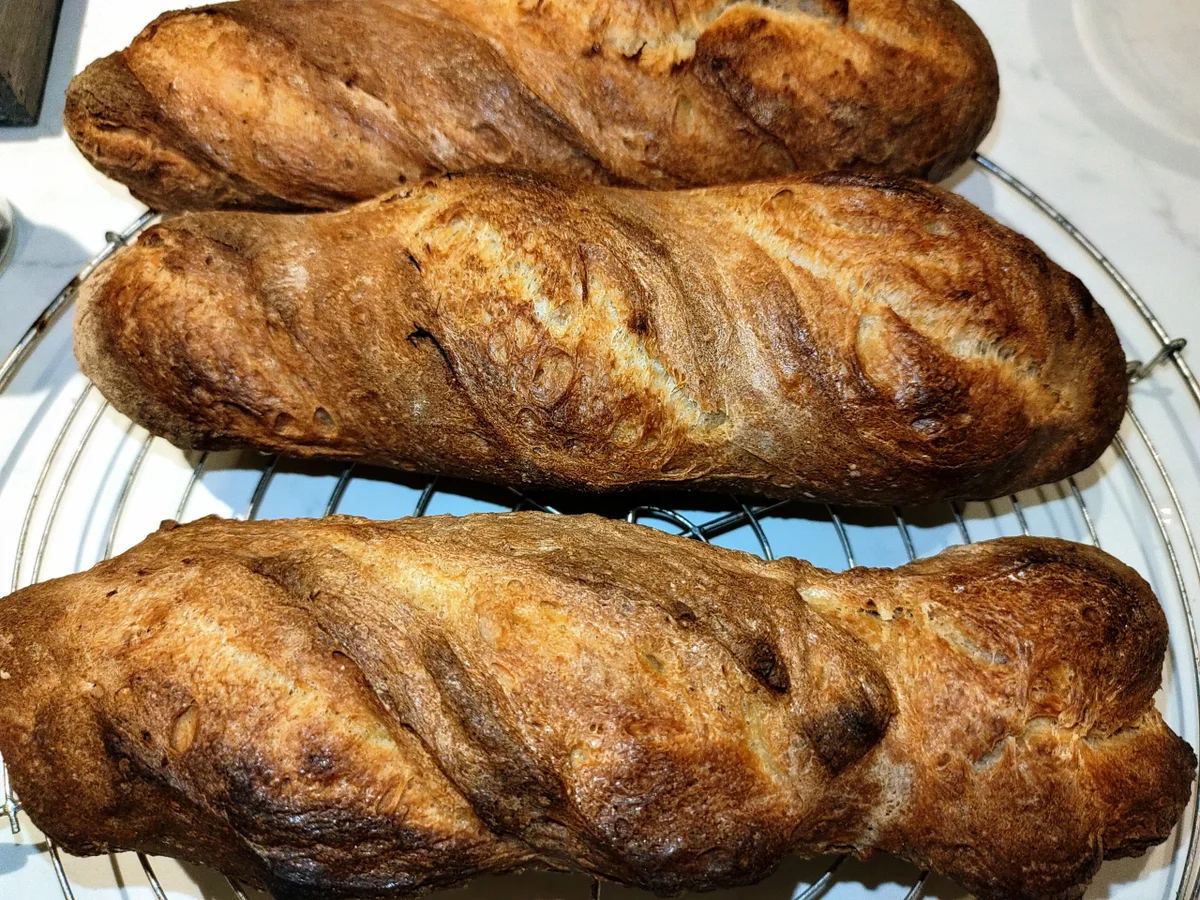 Baguette (III) - Rezept - Bild Nr. 16419