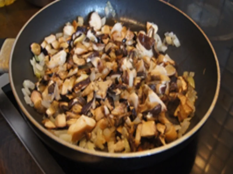 Rezept: Rahmsteinpilze mit Reibekuchen und Rote-Bete Salat Bild Nr. 16422 Rahmsteinpilze mit Reibekuchen und Rote-Bete Salat - Rezept - Bild Nr. 16422