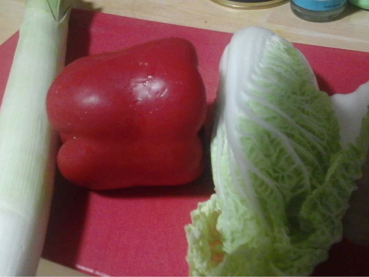 Frühlingsrollen mit Rindermett-Gemüsemix-Füllung - Rezept - Bild Nr. 16420