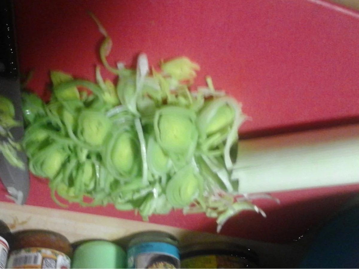 Frühlingsrollen mit Rindermett-Gemüsemix-Füllung - Rezept - Bild Nr. 16421