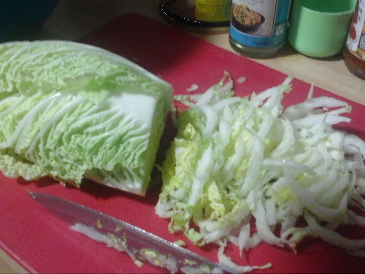 Frühlingsrollen mit Rindermett-Gemüsemix-Füllung - Rezept - Bild Nr. 16422