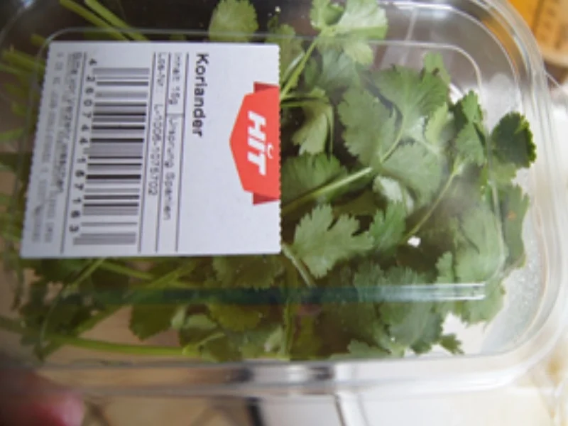 Garnelen-Hähnchen-Suppentopf im Wok - Rezept - Bild Nr. 16449