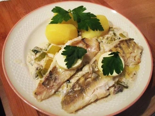 Berliner Zander auf Porree-Rahm-Soße - kulinarische Weltreise 03-2023 - Rezept - Bild Nr. 16439